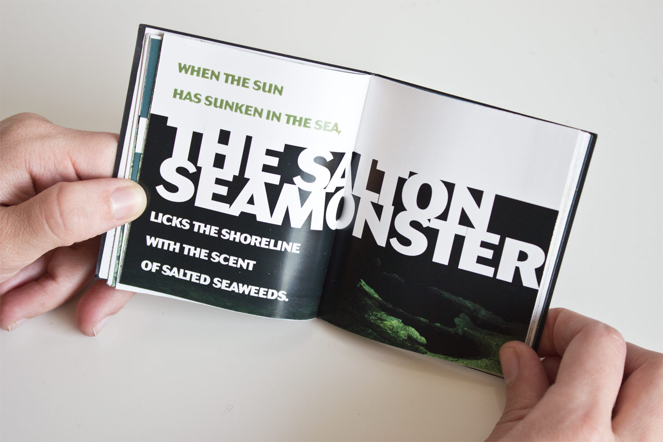 Salton seamonster